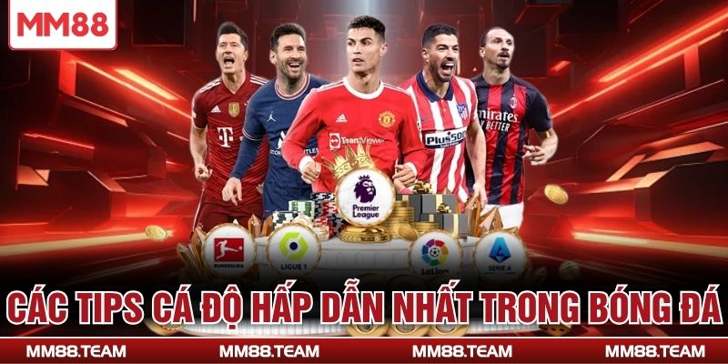 Các tips cá độ hấp dẫn nhất trong bóng đá