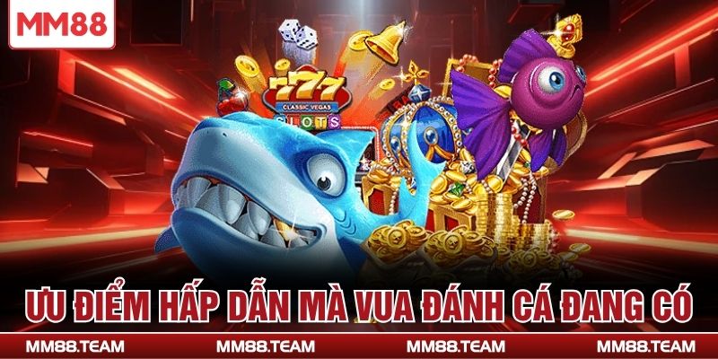 Ưu điểm hấp dẫn mà vua đánh cá đang có